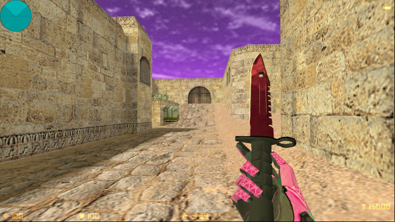  CS 1.6 Pigeon Build - Unique Skins & Features