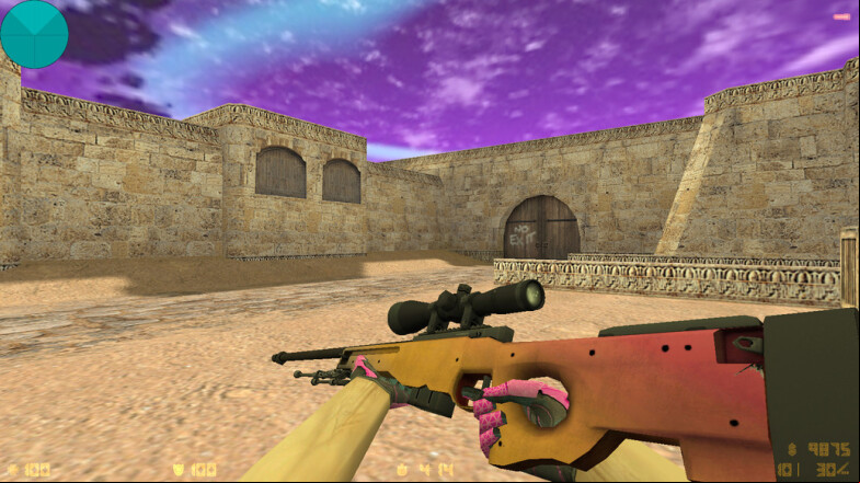  CS 1.6 Pigeon Build - Unique Skins & Features