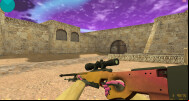  CS 1.6 Pigeon Build - Unique Skins & Features