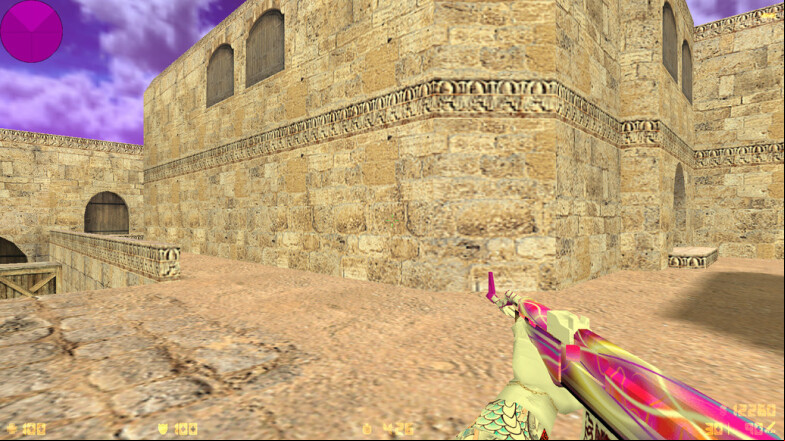  CS 1.6 Ralyyy - A Unique Gaming Experience