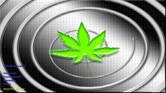  CS 1.6 Ganj