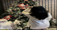  CS 1.6 Kuraze New Year - Festive Fun Awaits