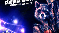  CS 1.6 by Raccoon